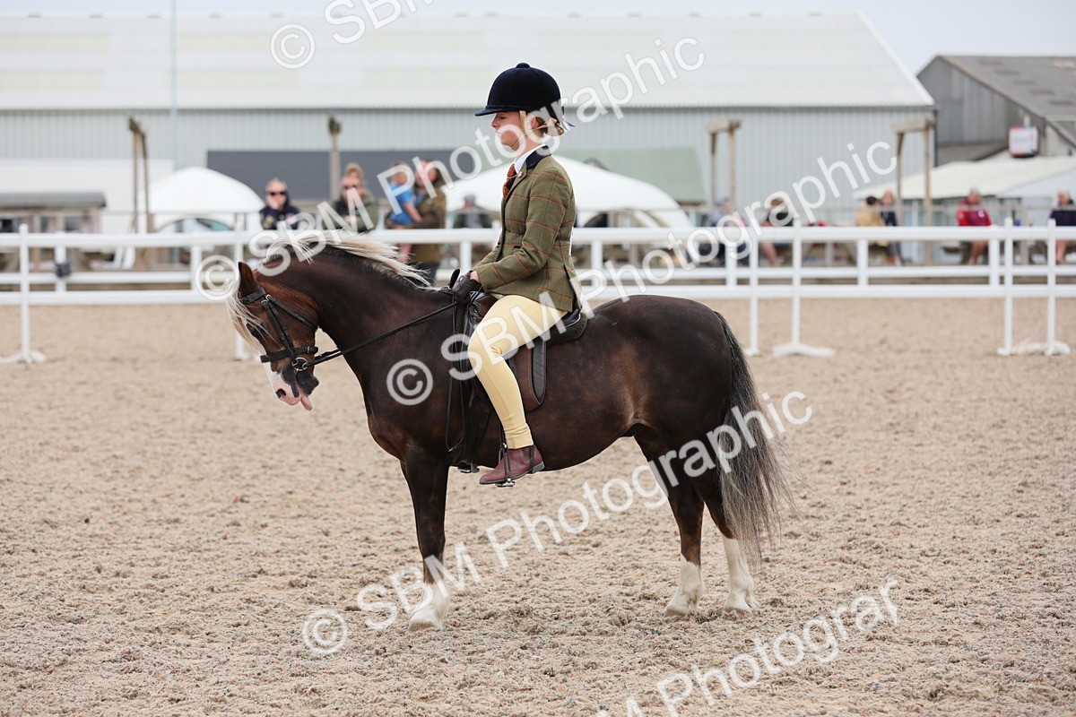 SBM_18114 - Class 316 Best Pony/Rider Combination