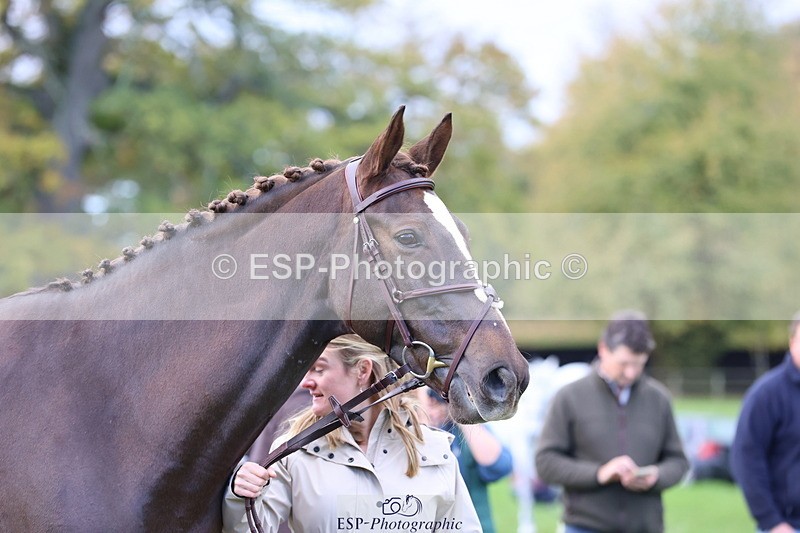 251026A-103532-23123 - F-433-Kathryn.Board