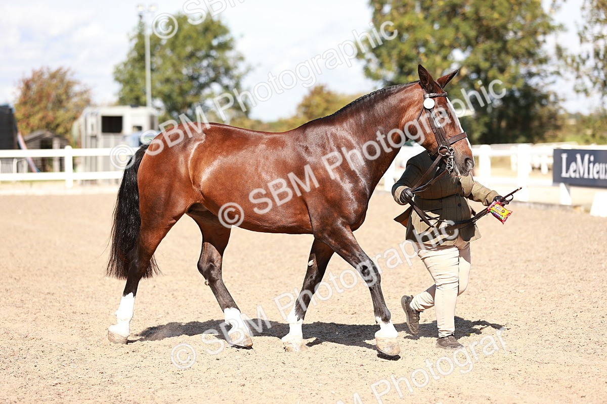SBM_13257 - Class 405 - IH Show Cob