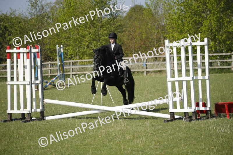 20250427-0394 - Class 12 - Rookie Jumping 40cm