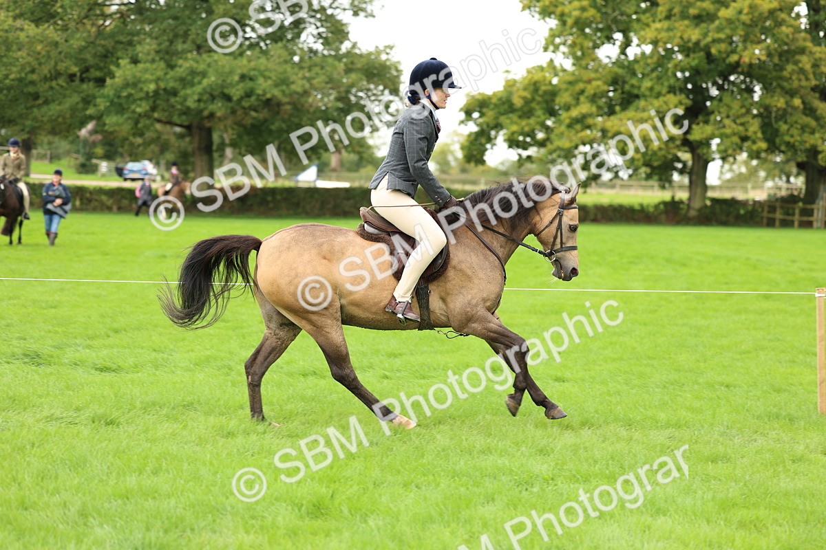 SBM_41845 - S32 - Mountain & Moorland Working Hunter Pony