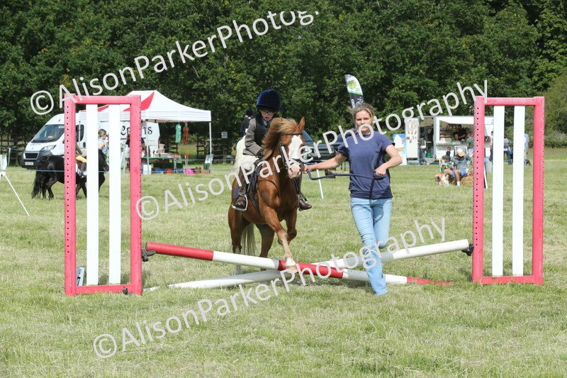 20260614-0280 - Class 1 - 30cm Lead Rein
