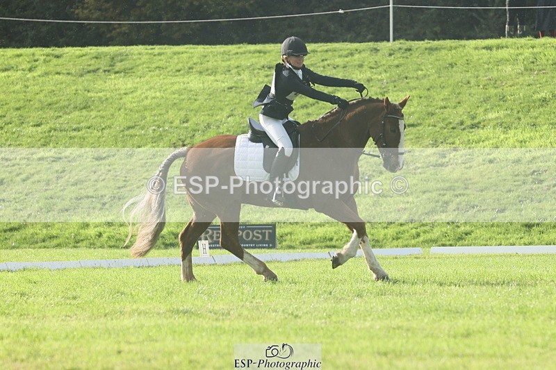 251023A-150411-04974 - F-435-Megan.Clarke