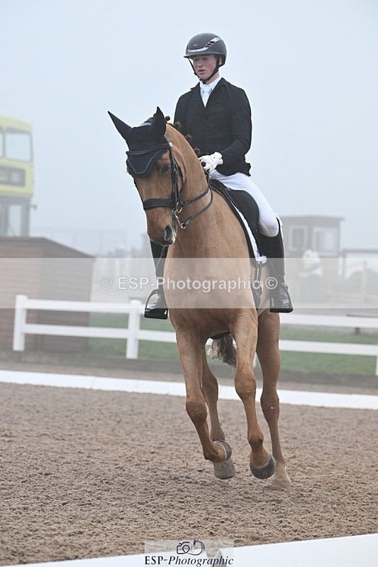 240217A-131520-02796 - 271-Tom.Carter-Rubin.Regal