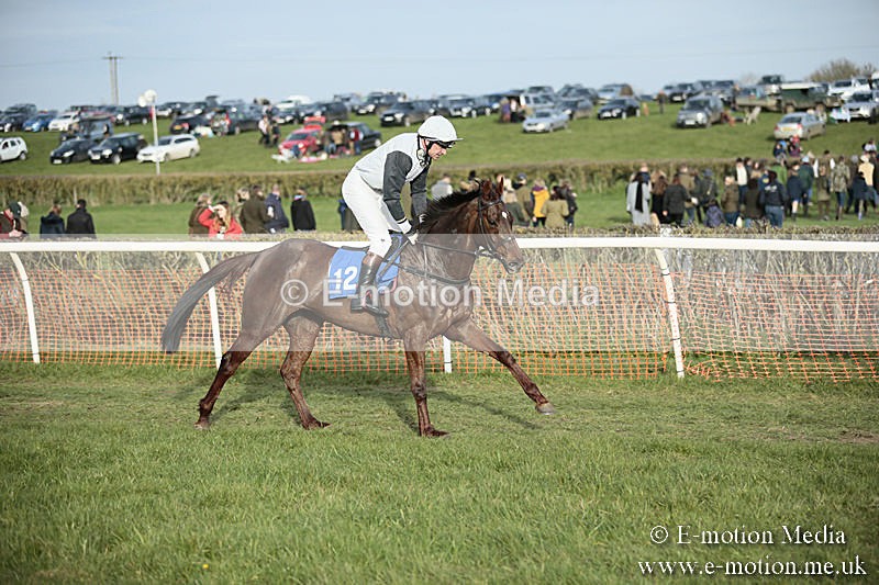 PtP 230319 519 - VWH Hunt Siddington Point-to-Point Racing 23/03/19