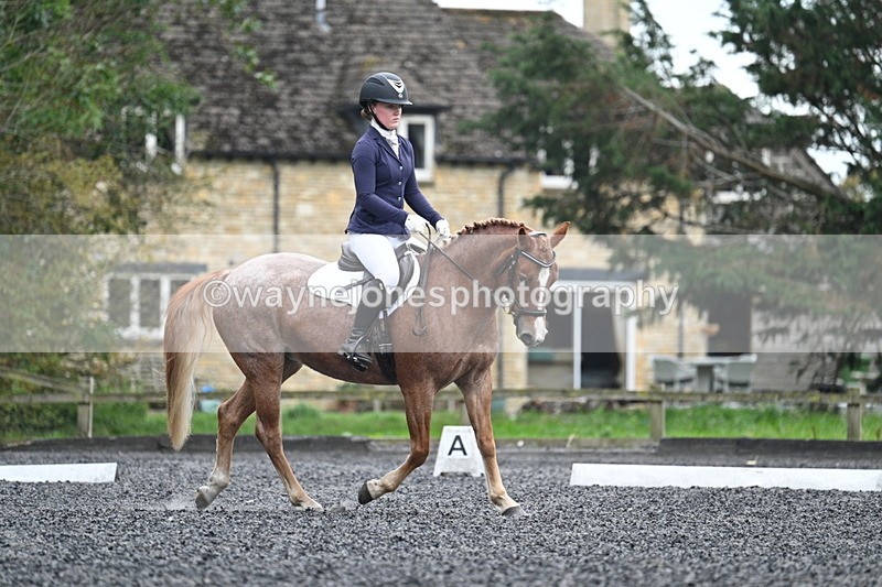 WJ7_3707 - Time 11:04 to 11:38