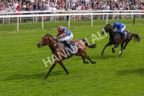 210824-Race 2-The Lion In Winter-7217 - Race 2 2.25pm Tattersalls Acomb Stakes