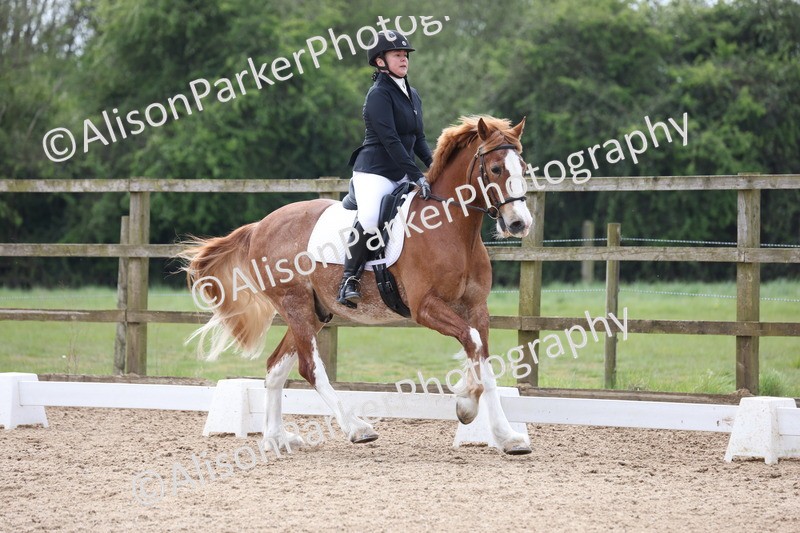 20250424-0693 - Class 4 - Novice 2