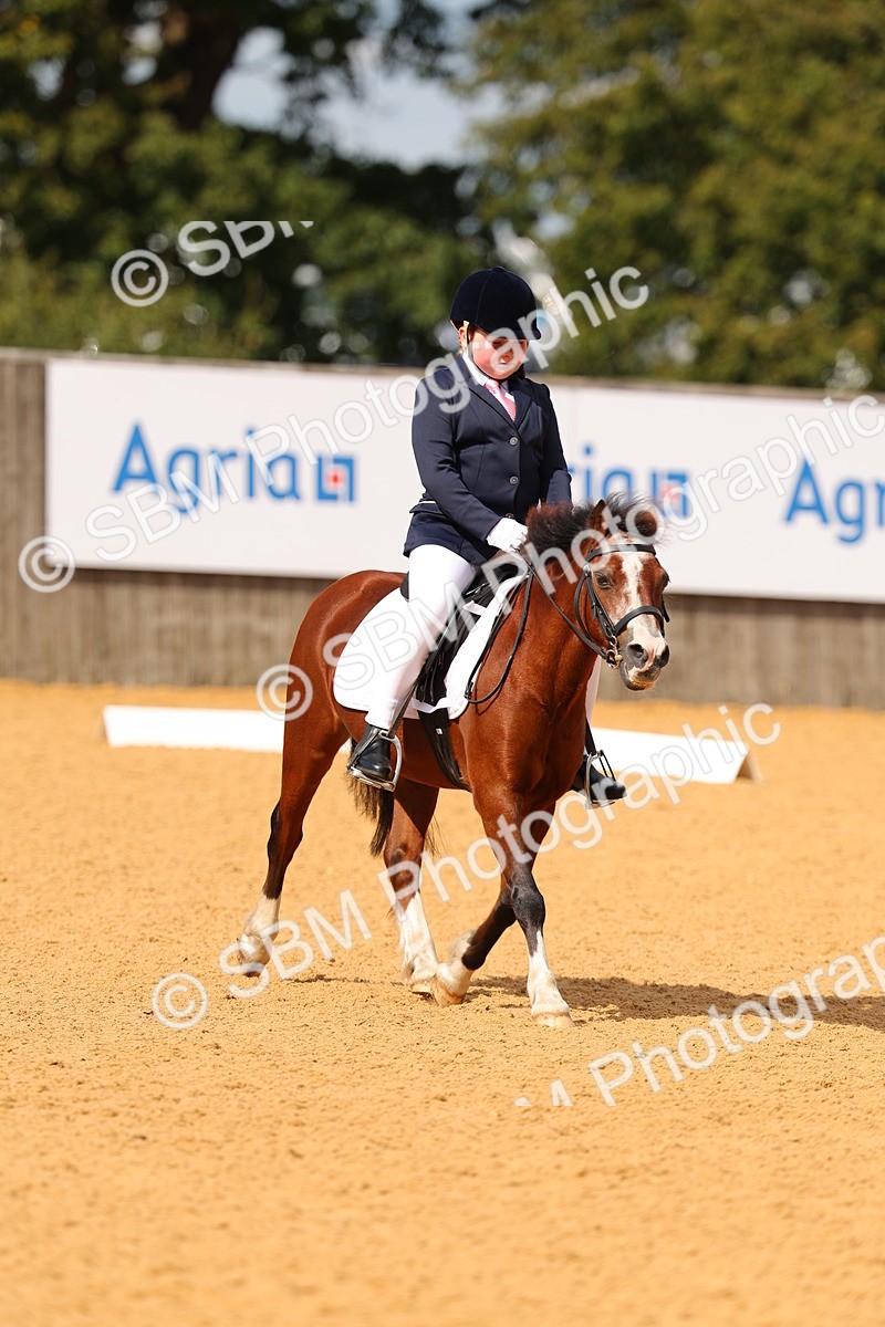 SBM_44056 - D22 - Junior Championship - Intro B