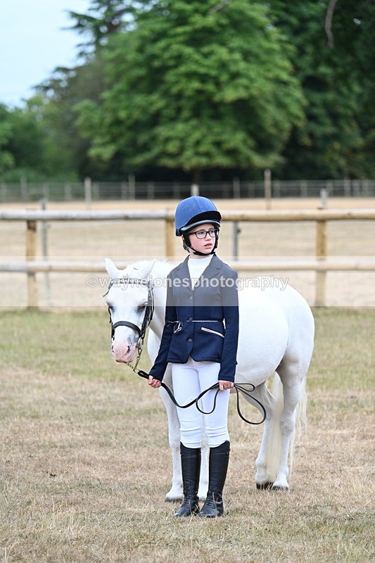 WJ7_8193 - Class 4 Prettiest Mare up to 14.2hh