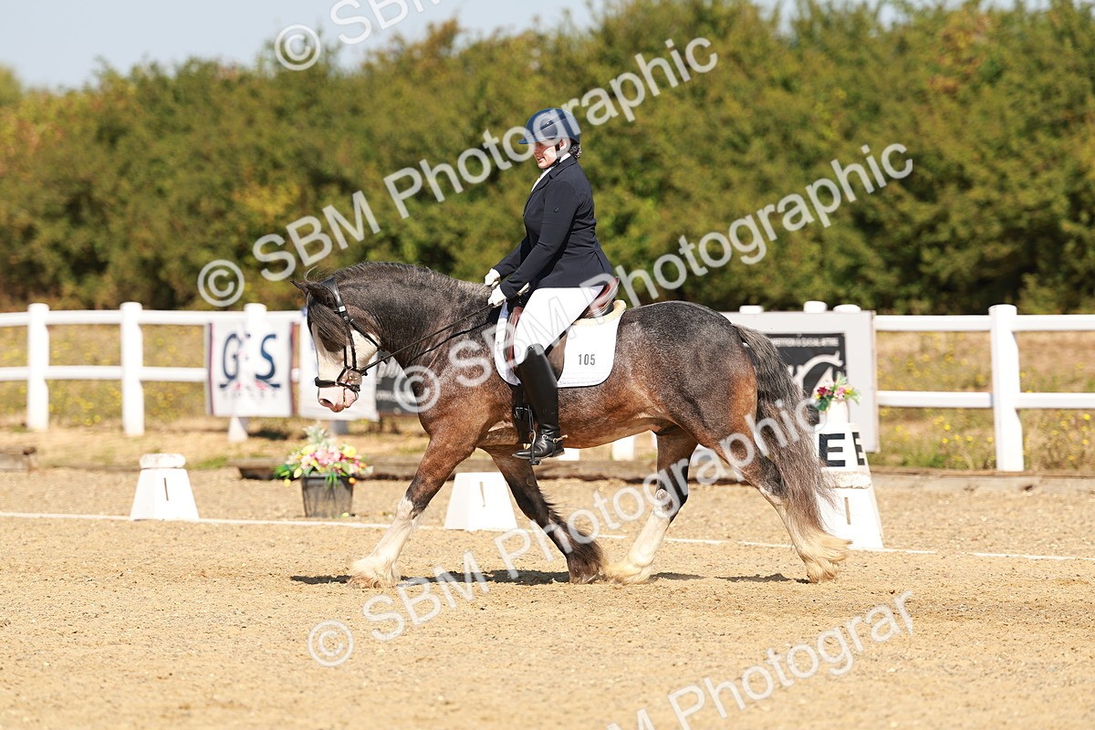 SBM_017766 - Class 9 - N5 Bronze 10.33.11.36