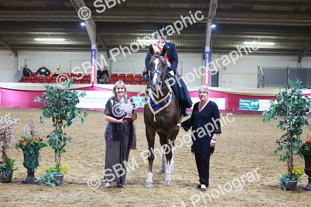SBM_15033 - Class N - Side Saddle Champ