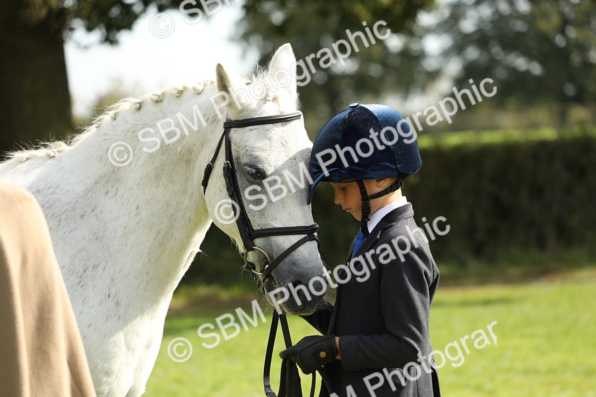 SBM_67765 - S39 - Junior Handler 8  Years & Under