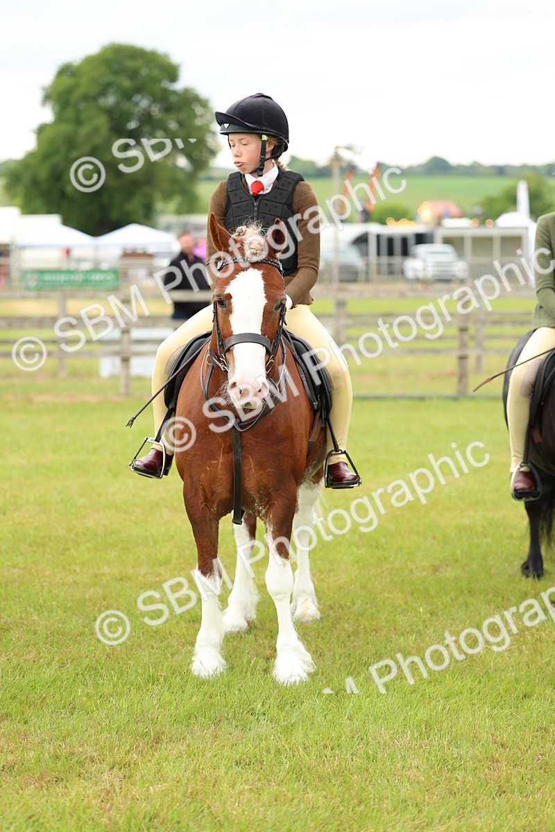SBM_10391 - Class 44-45 - LIHS BSPS Open Nursery and Cradle Stakes