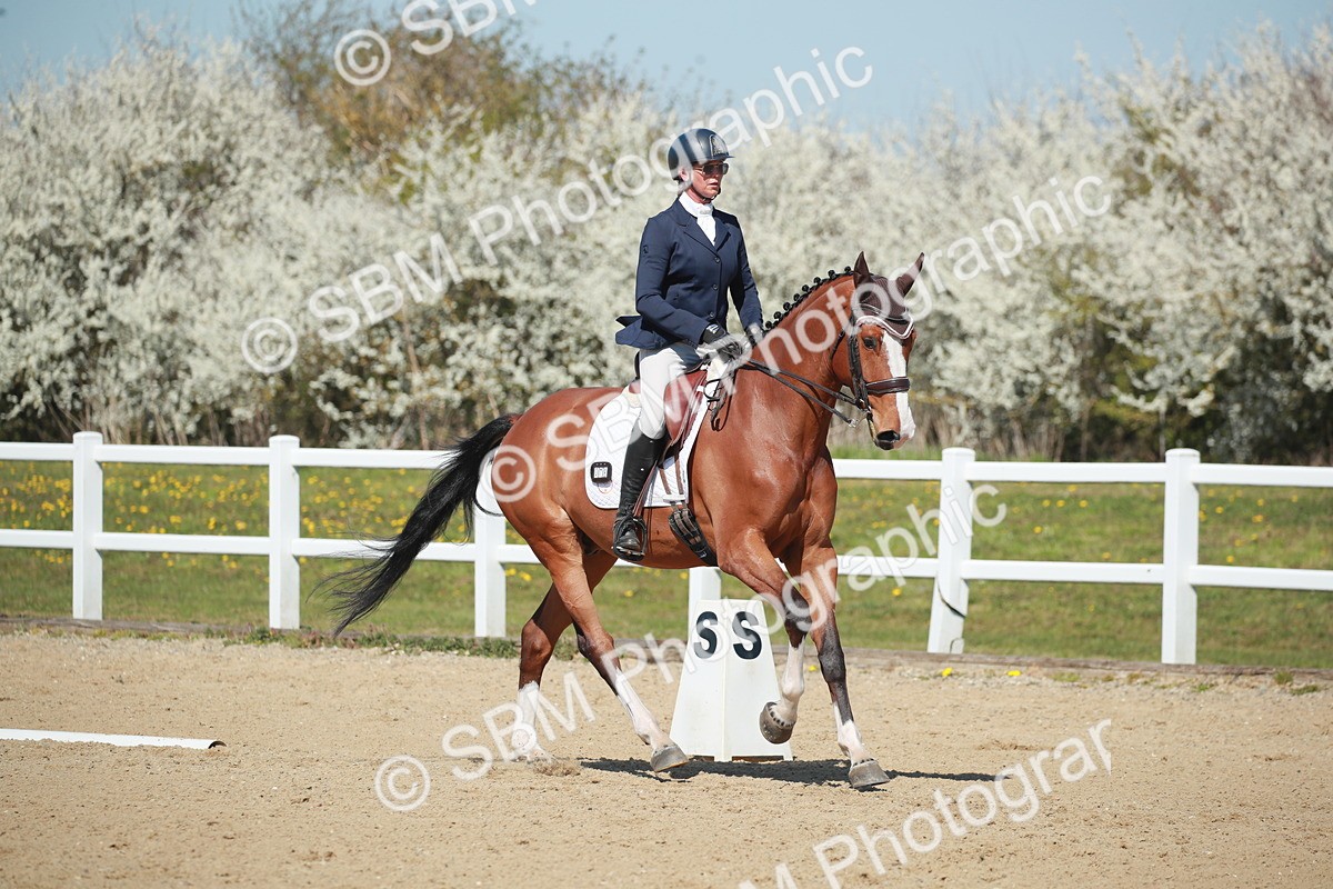 SJ3_0953 - Class 8 - E5