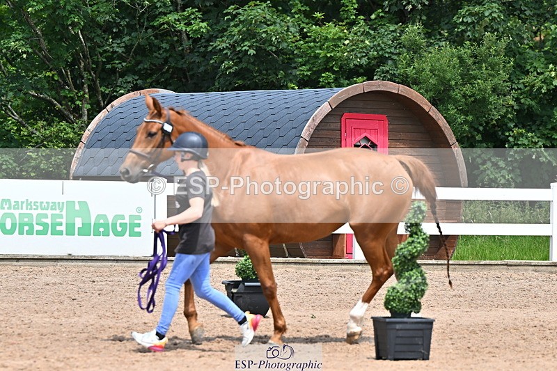 240718A-105312-01703 - Trot Up 1pm to 2pm