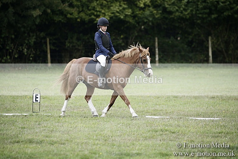 BVR090918 246 - BVRC Dressage and Show Jumping 09/09/18