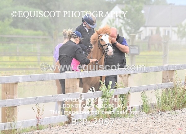 BPP_2987 - CLASS 7 Pony Discovery / 90cm Open