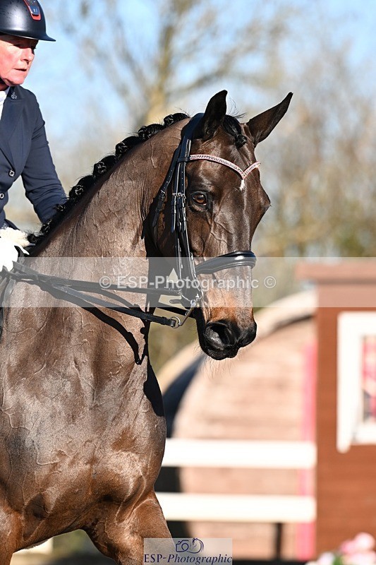 260214-095644-03356 - 001-Jane.Gregory