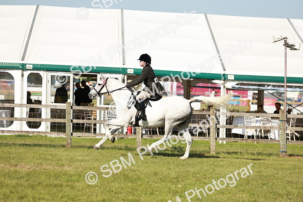 SBM_19264 - Class 115-116 - LIHS BSHA Rising Star Working Hunter & Show Horse