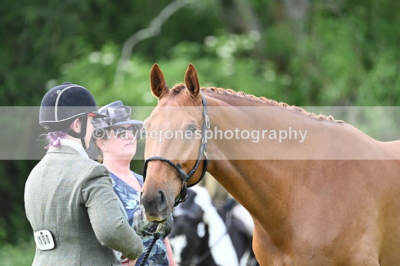 WJ7_1454 - Class 11 Condition & Turnout