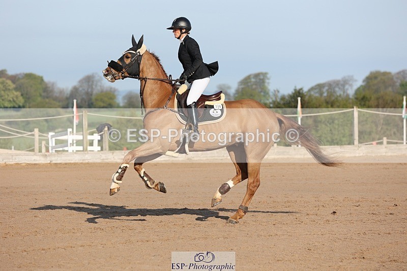 250427-083313-14525 - Cls 28 Young Horse 5yr old