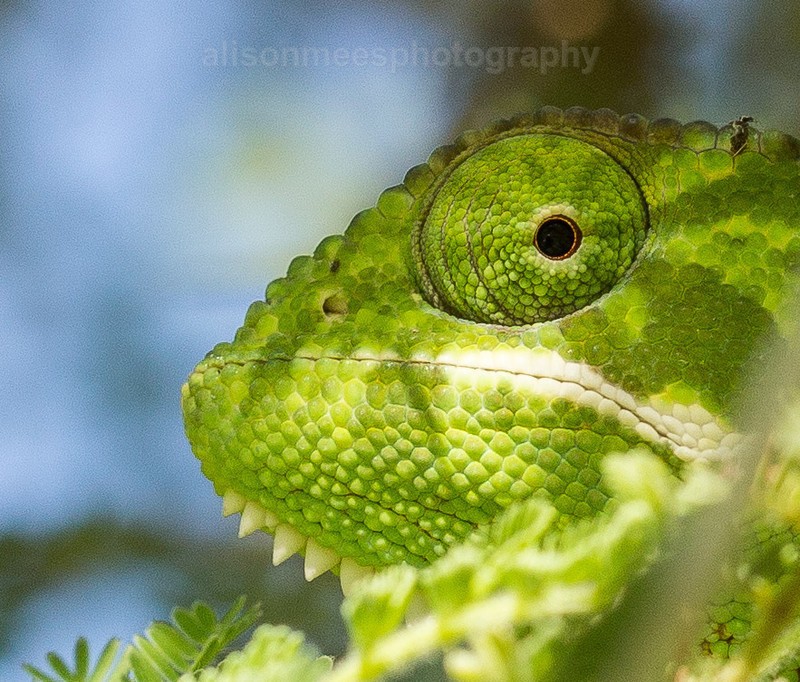  - Macro World