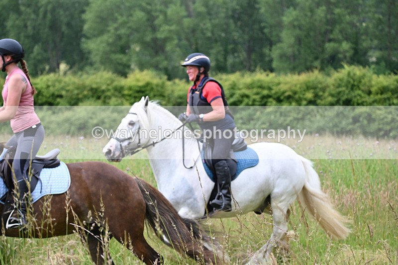 WJ6_8134 - Camera 1 Gallops