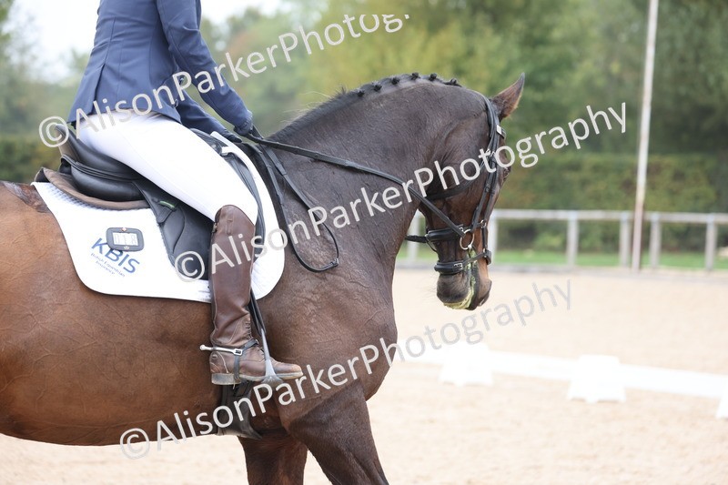 20251012-0634 - Class 5 - Elementary 5