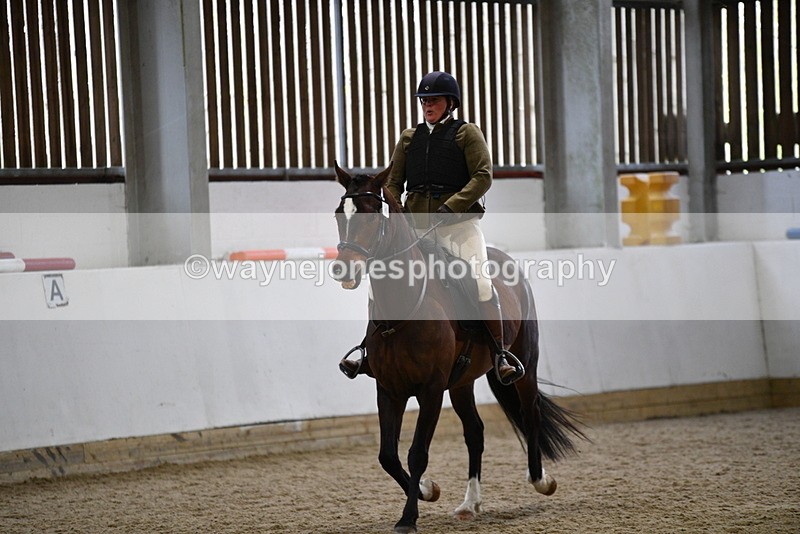 WJ5_7973 - Class 13 Ridden Part Breed