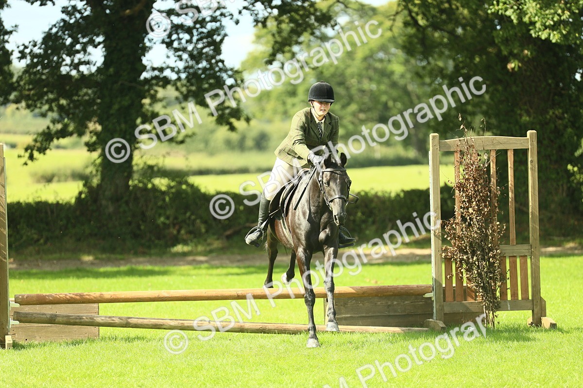SBM_42066 - S29 - Novice & Newcomers Working Hunter Pony