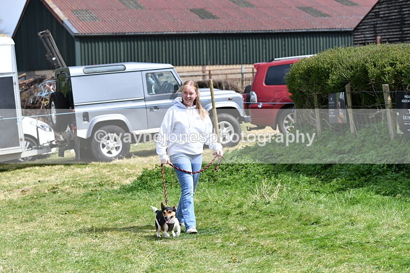 WJ5_0383 - Class 7 Best Terrier