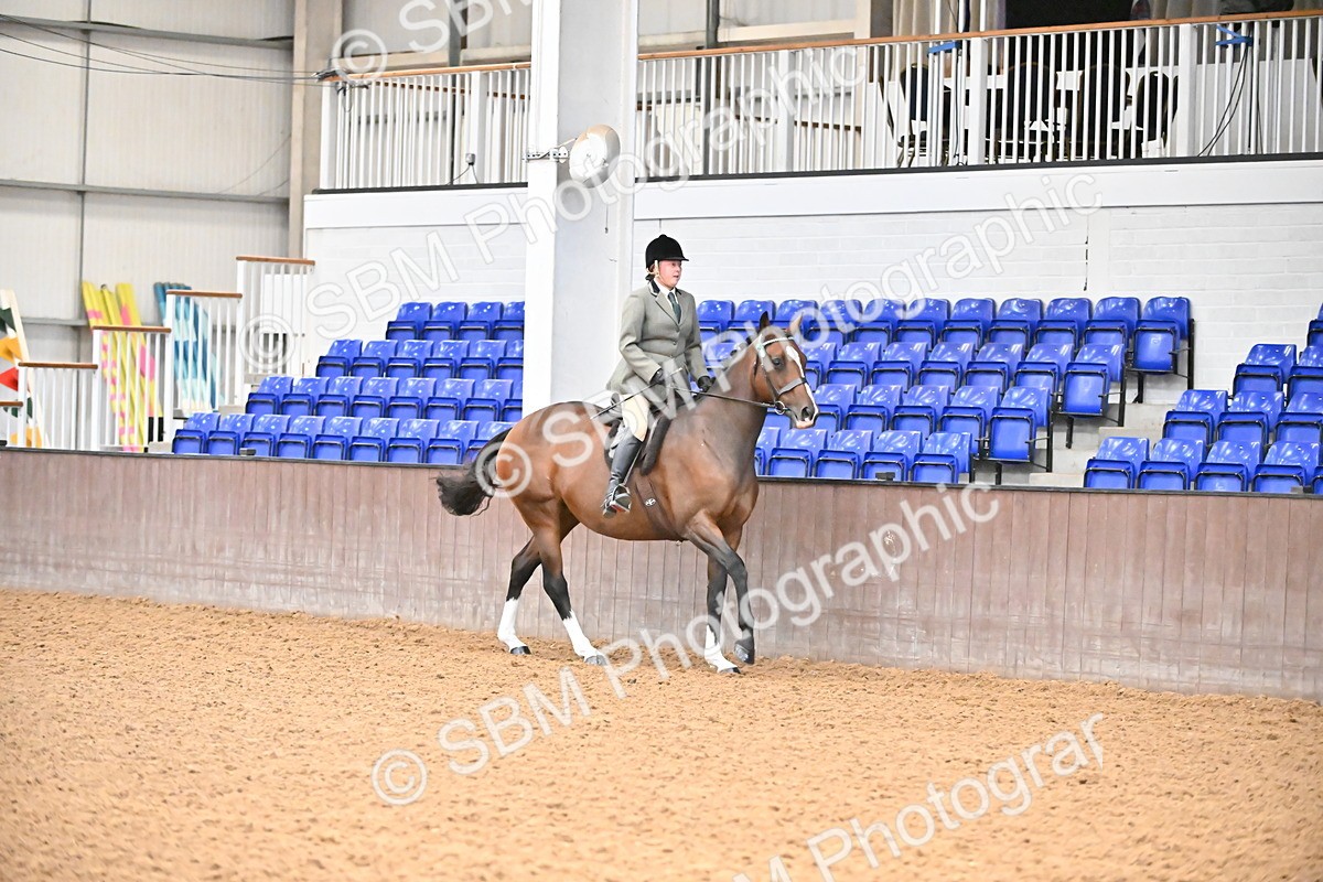 SBM_001897 - Class 25 - Tattersalls ROR Amateur Ridden