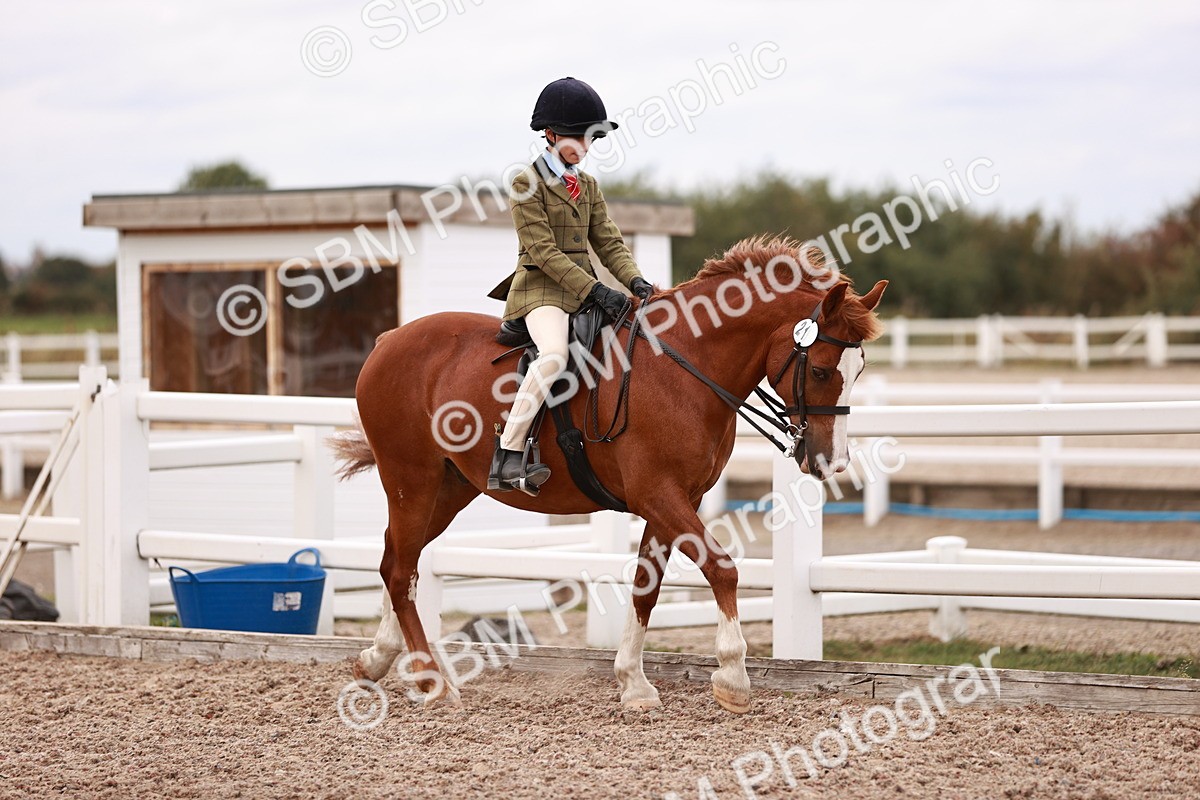 SBM_18548 - Class 421 - Childs Best Friend - Jnr