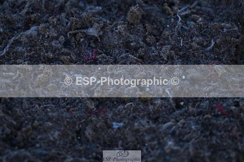 251203-111813-00311 - Cls 2 Discovery and 1m Open