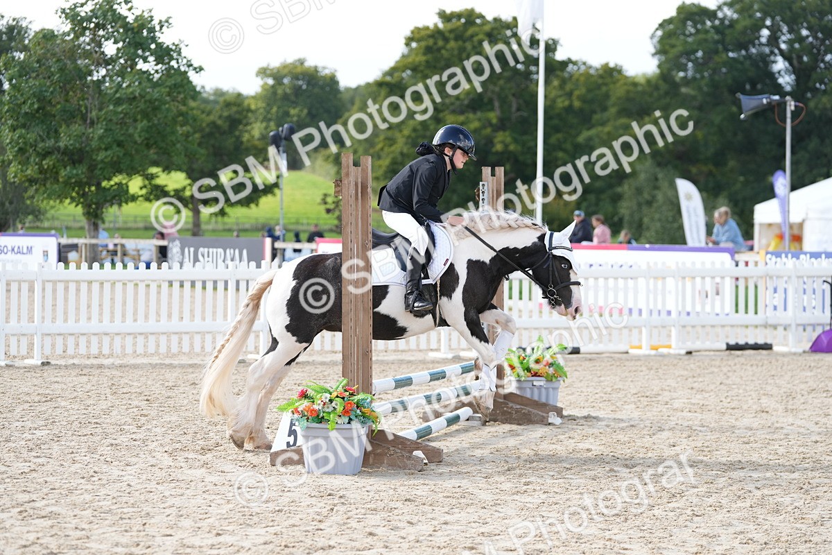 SBM_16817 - J58 - Clear Round 50cm