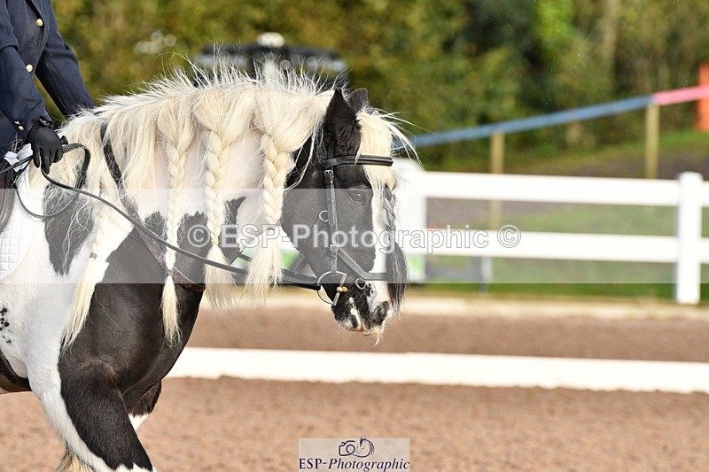 231105A-095004-00041 - UnAf Intro A and B