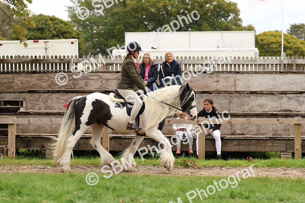 SBM_64434 - S58 - Coloured Pony Ridden