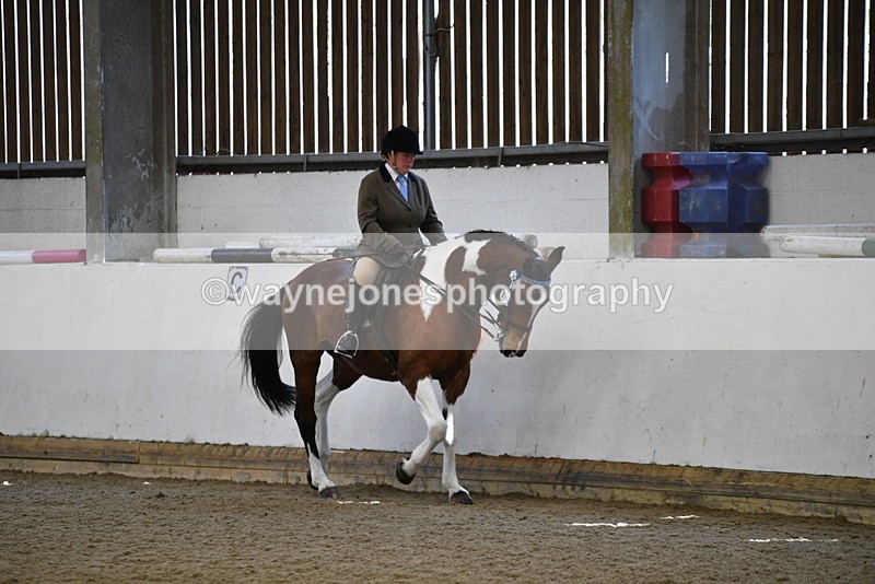 WJ5_5903 - Class 9 Ridden Veteran