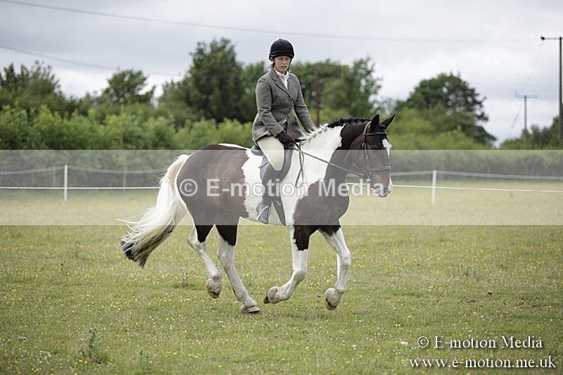 BVR160717-1882 - Ring 1 BVRC Show 16/07/17