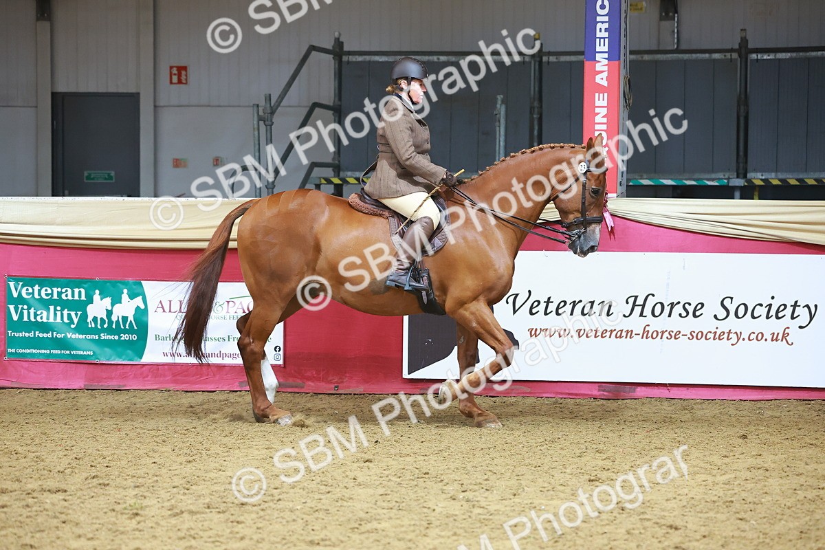 SBM_09388 - Class 102 - HOYS Veteran Qualifier - Ridden Veteran