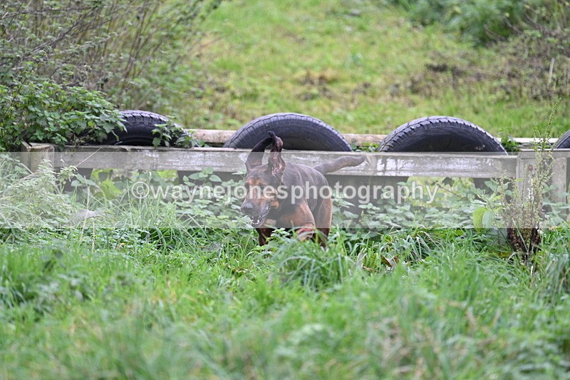 WJ7_8974 - Camera 1 only on this line