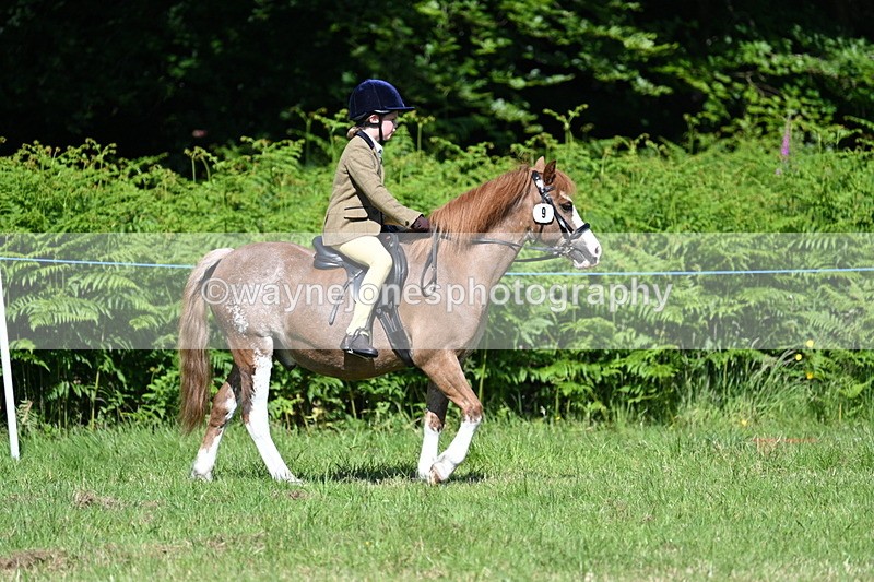 WJ7_0664 - Class 8 First Rally Pony