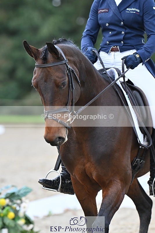 231019-151447-04733 - 133-FOXENHOLE-Laura.Elliott-DR