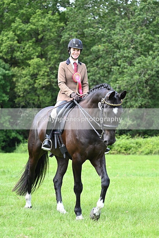 WJ7_1624 - Class 11 Condition & Turnout