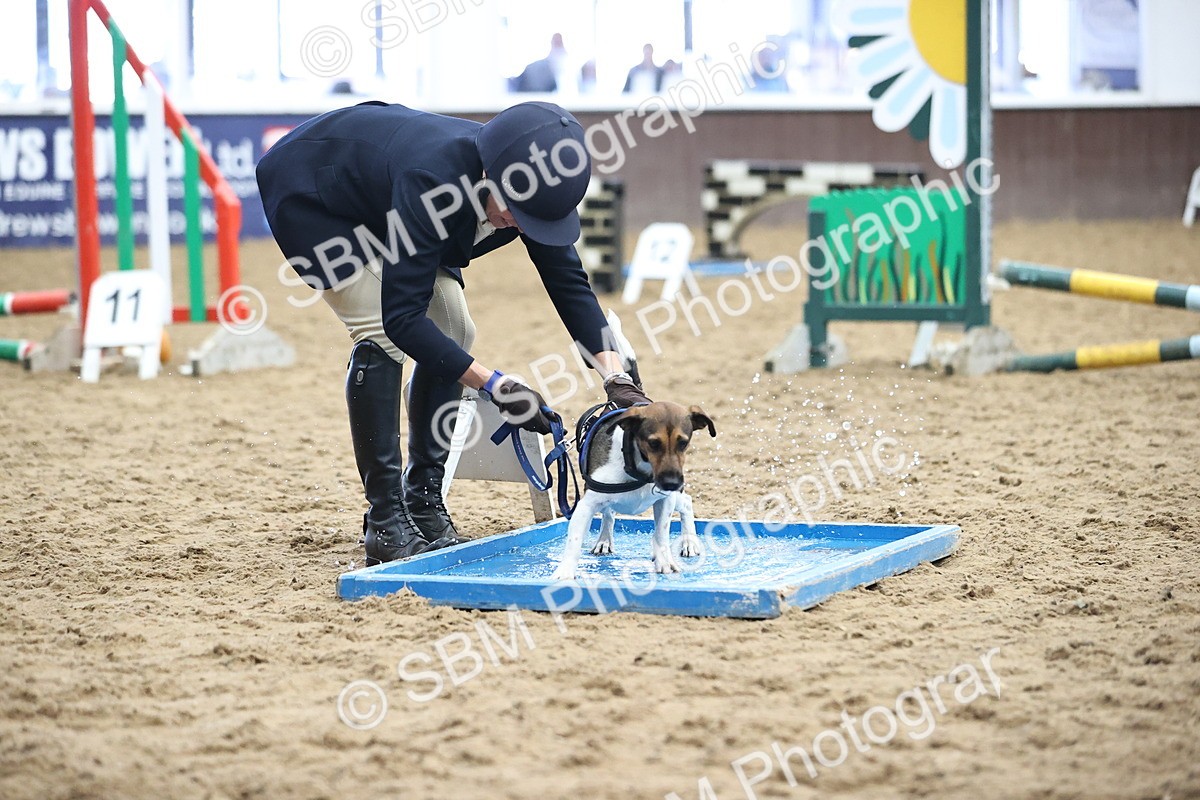 SBM_001178 - Class 3 - Horse & Hound 60cm