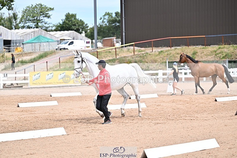 250716-132547-00505 - Trot Up 12.30 to 1.30