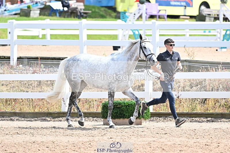 240717A-151507-02686 - Trot Up 3pm to 4pm