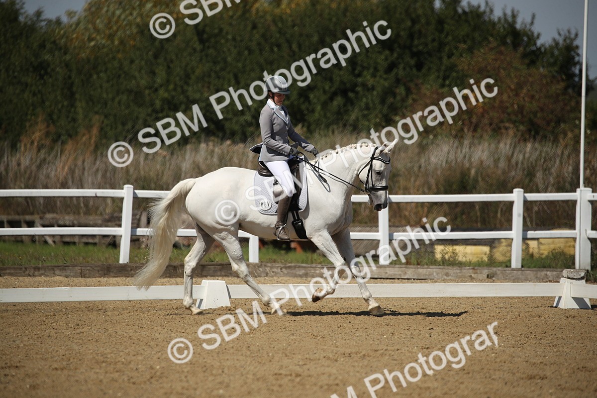 SBM_005053 - Class 11 - Novice 5 - 11.41-12.58