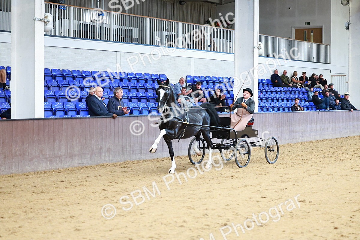 SBM_001022 - Class 13  - HHS Championship Intl Hackney Horse to a Show Wagon
